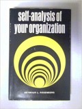 Self-analysis of your organization