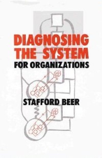 Diagnosing the system for organizations