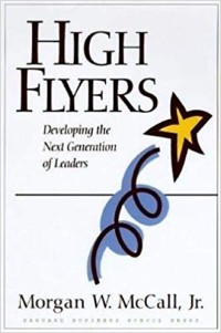 High flyers : developing the next generation of leaders