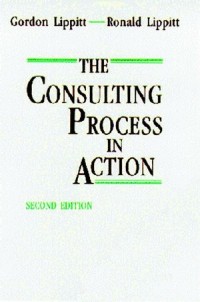 The Consulting process in action