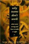 Why teams don't work : what went wrong and how to make it right