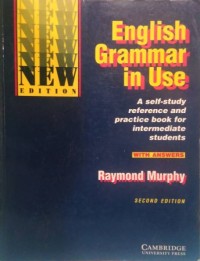 English grammar in use