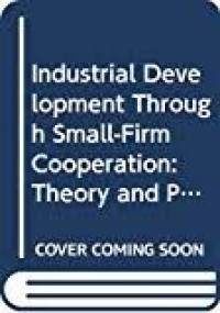 Industrial development through small-firm cooperation : theory and practice