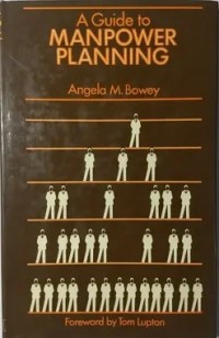 Image of A guide to manpower planning