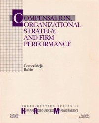 Image of Compensation, organizational strategy, and firm performance