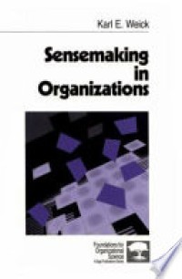 Image of Sensemaking in organizations