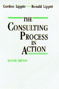Image of The Consulting process in action